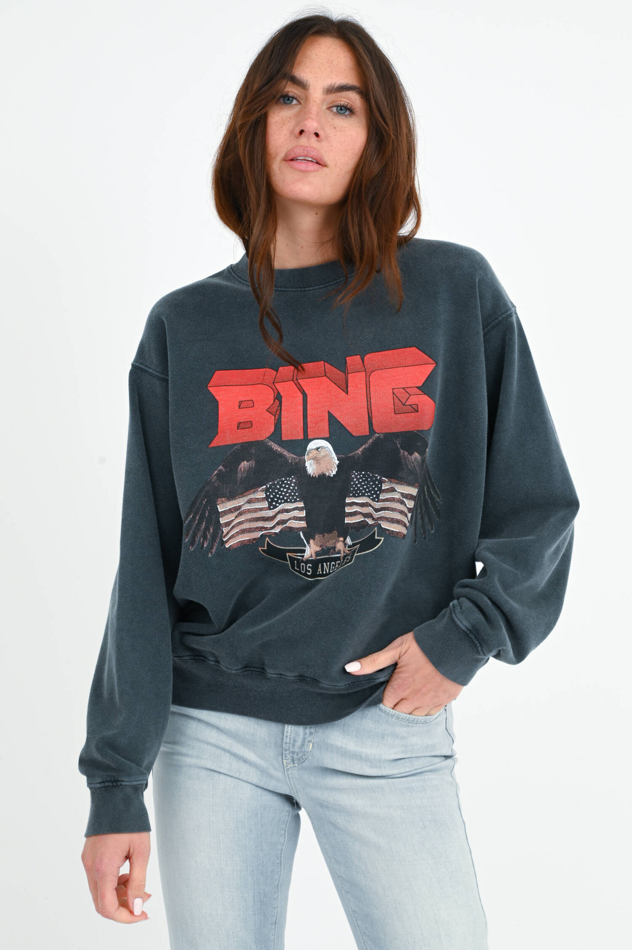 Anine Bing Sweater VINTAGE mit Adler Print in Anthrazit GRUENER.AT