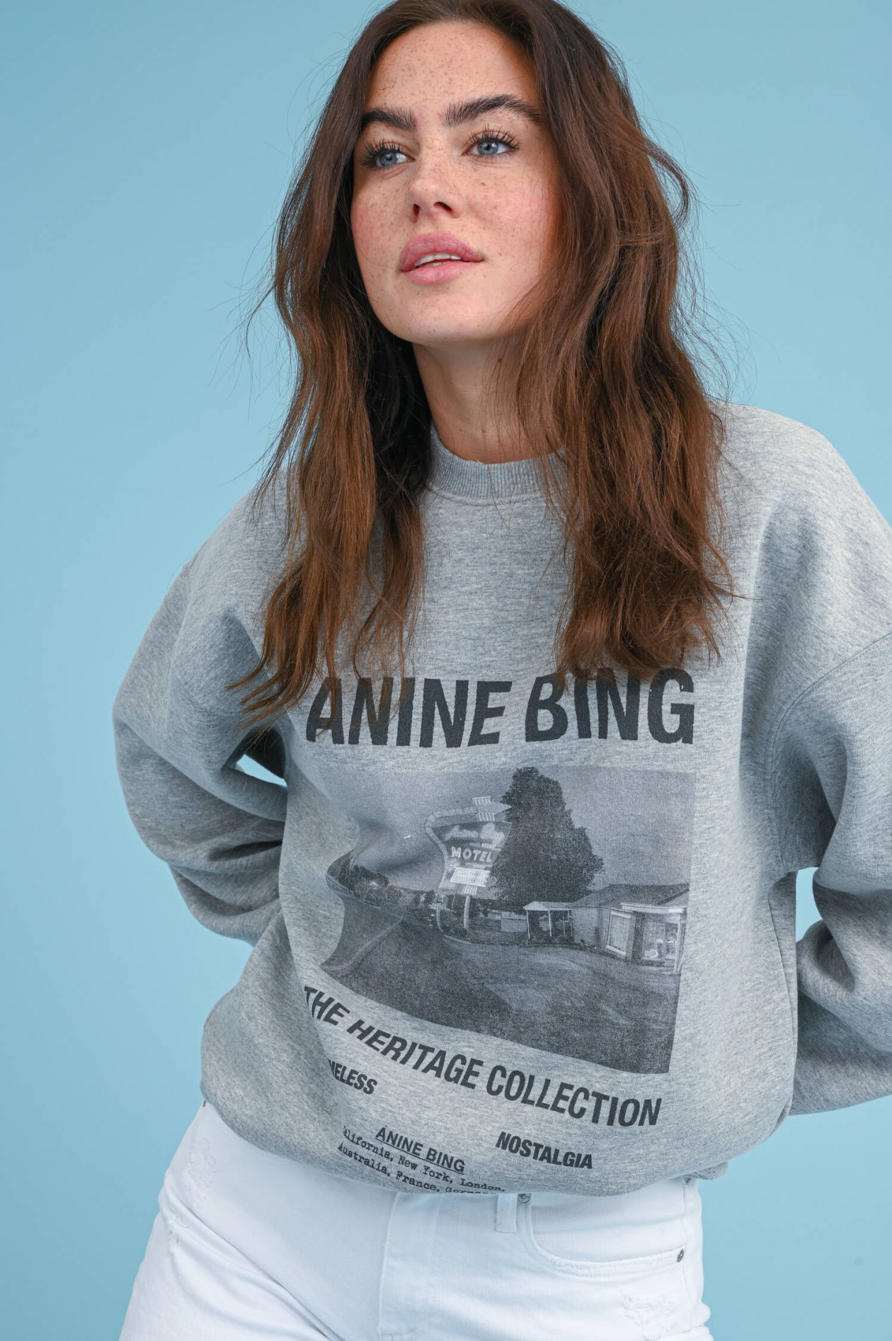 Sweater anine bing discount