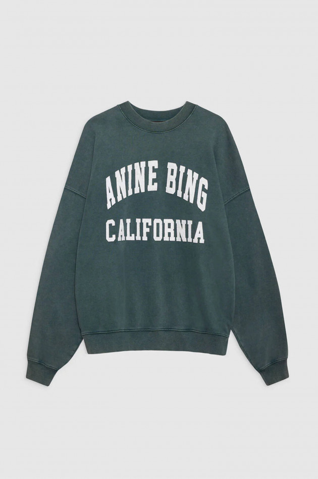 Anine Bing Sweatshirt MILES in Used Salbei