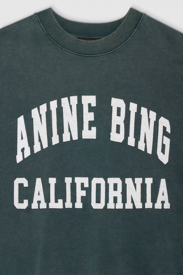 Anine Bing Sweatshirt MILES in Used Salbei