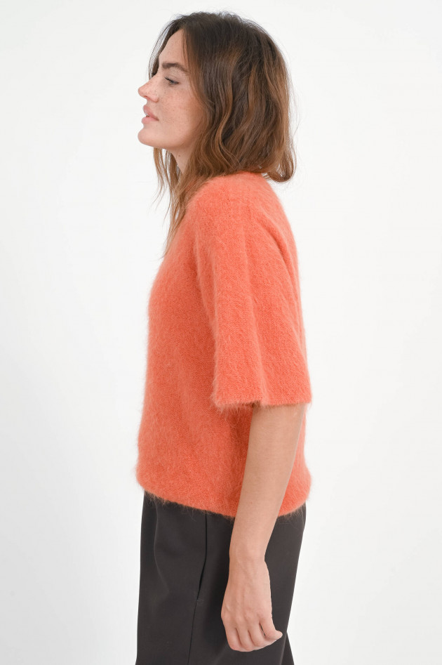 Antonelli Firenze Kurzarm Pullover mit Hairy Optik in Pumpkin