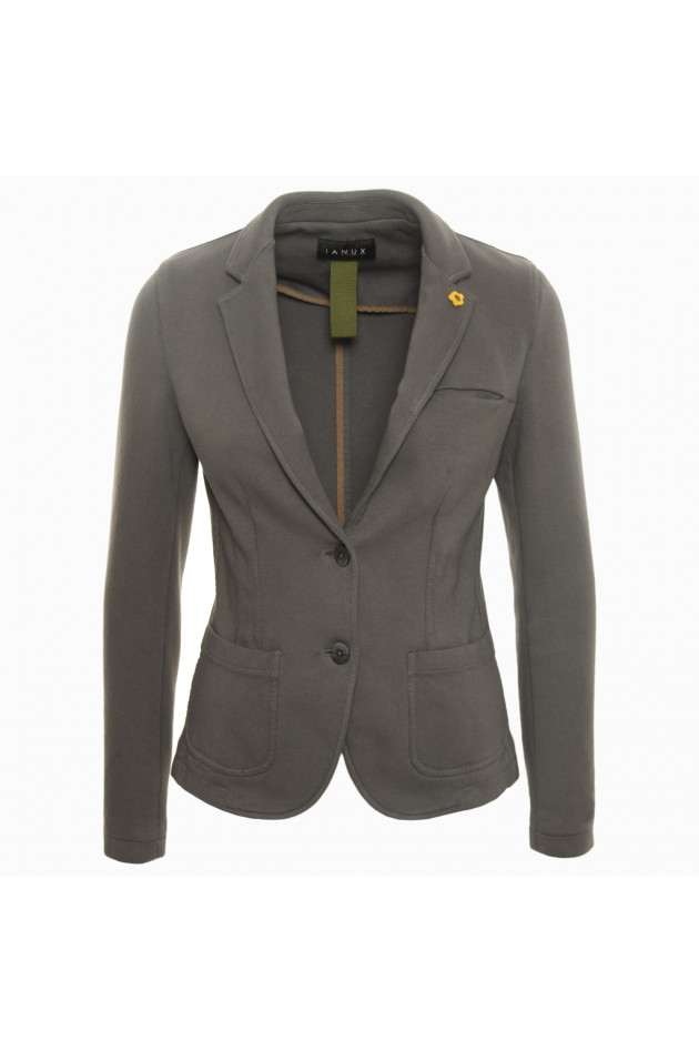 Ianux Blazer in Grau