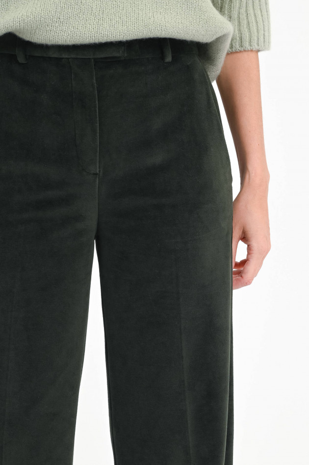 Circolo 1901 Samt-Hose in Dark Forest