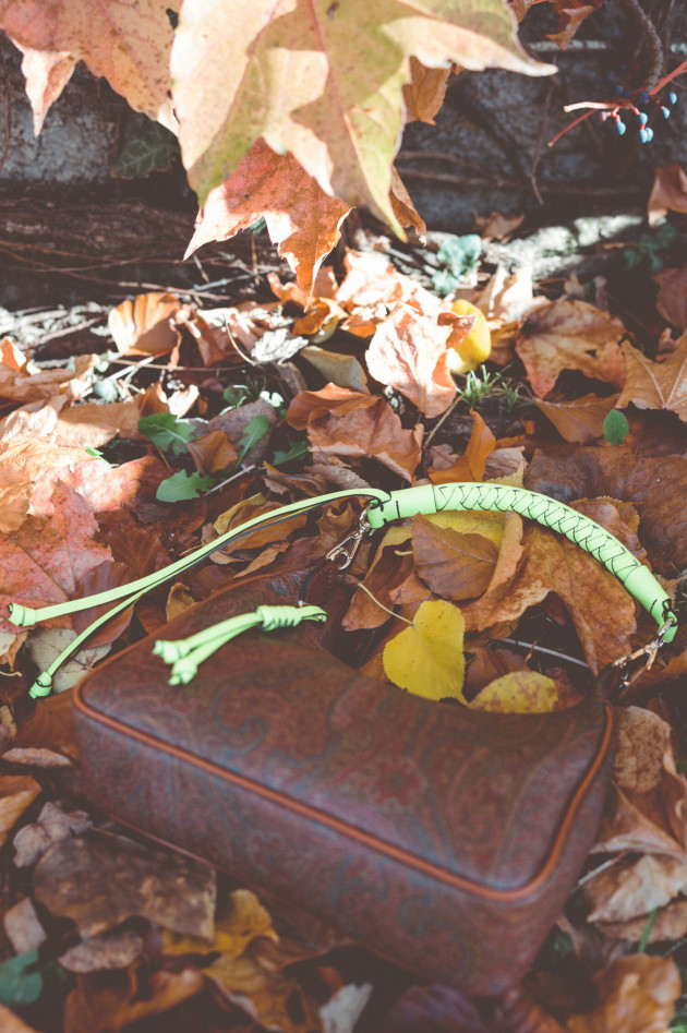 Etro Mini-Hobo-Tasche mit Paisleydesign