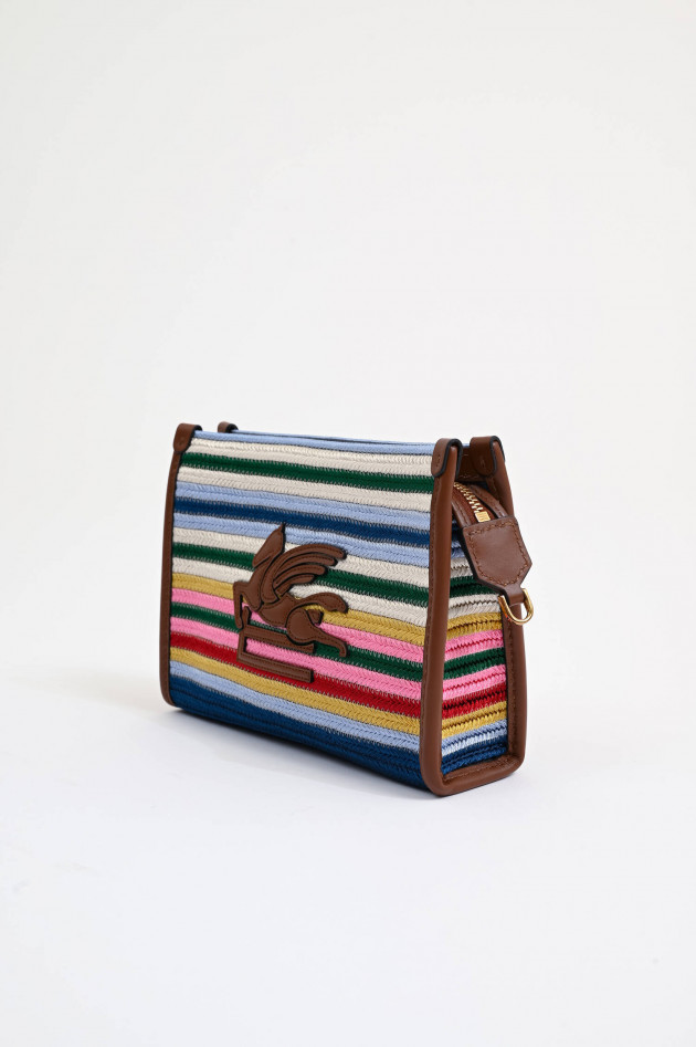 Etro Gestreifte Pouch mit Riemen in Braun/Multicolor