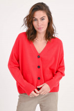 Cashmere Cardigan mit V-Ausschnitt in Chili