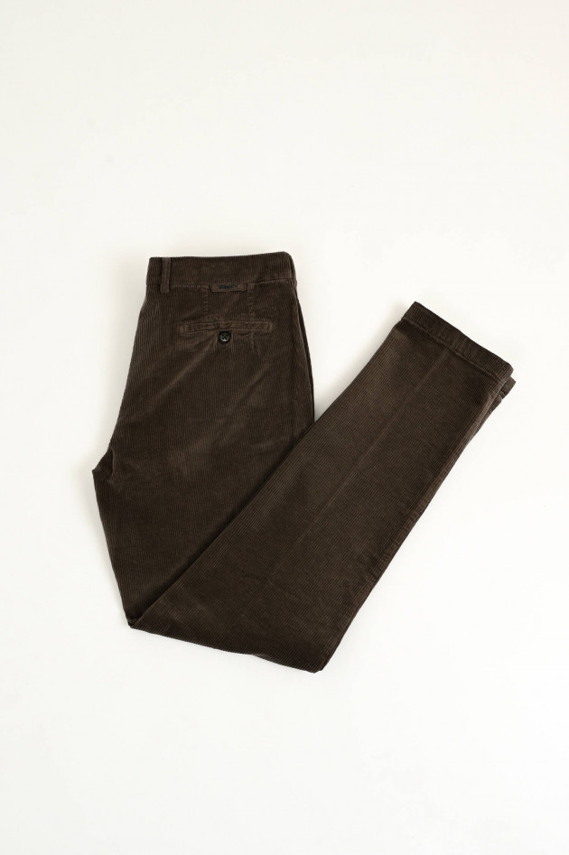 Berwich Hose MORELLO in Taupe