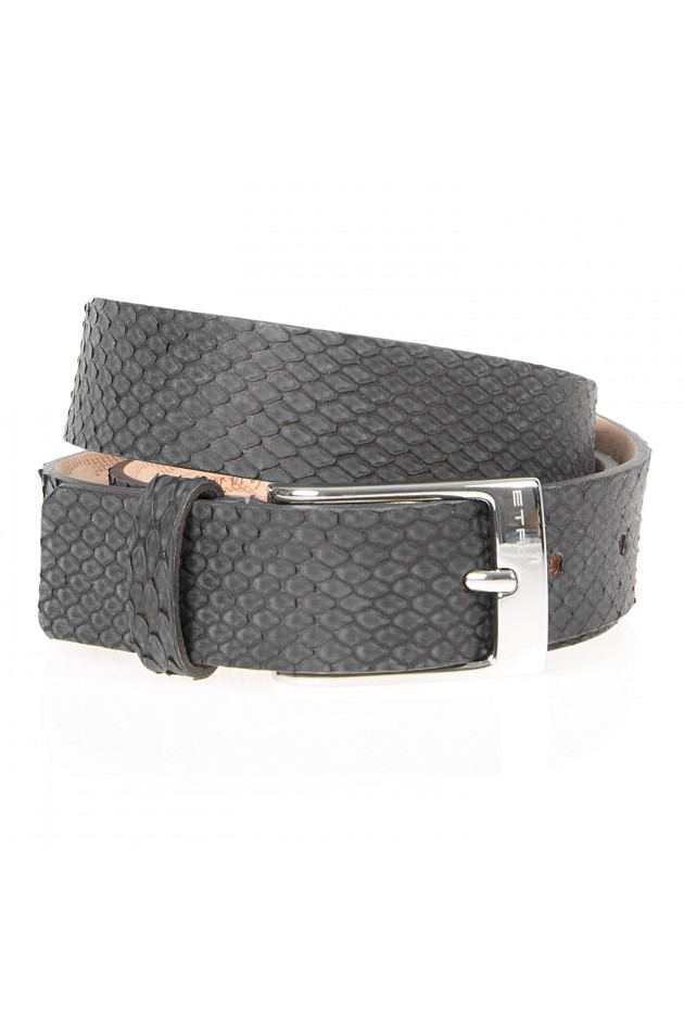 Etro Ledergürtel in Grau
