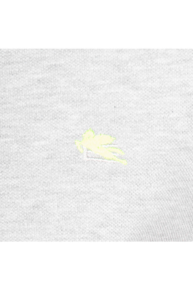 Etro Poloshirt in Grau/Neon