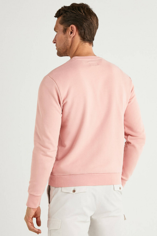 Hackett London Sweater mit Brand-Wording in Rosé