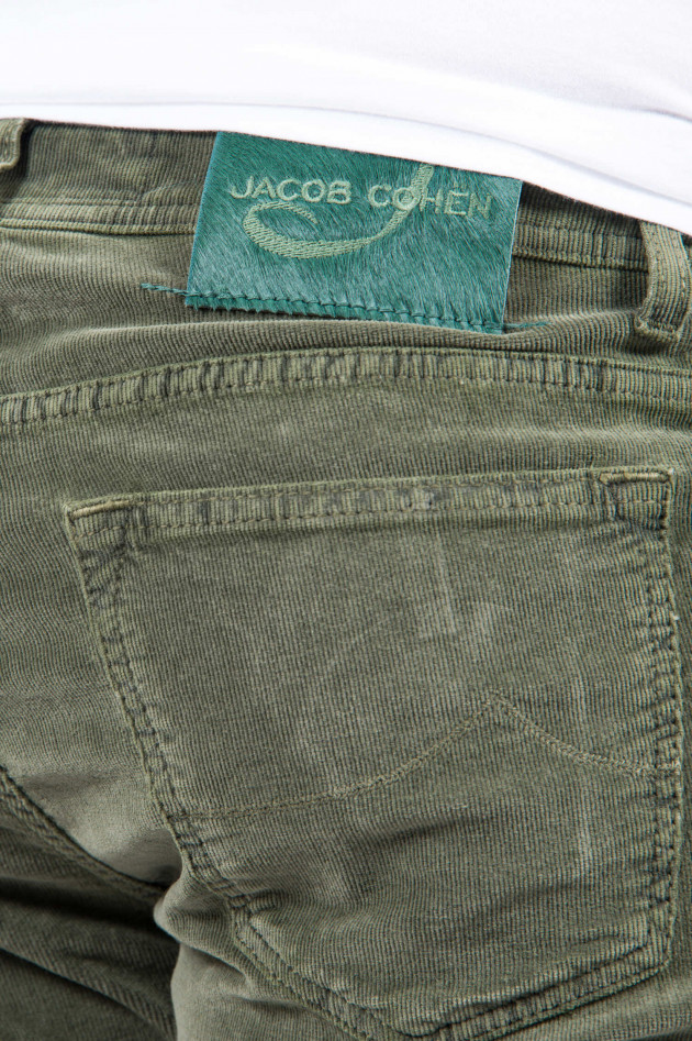 Jacob Cohën Cordhose in Oliv