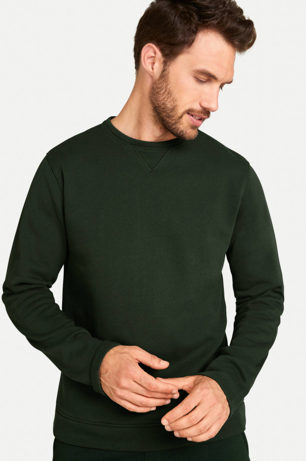 Juvia Sweater mit Rundhals in Walgrün