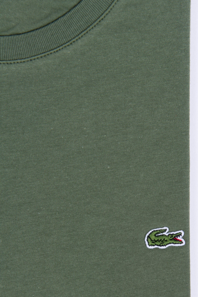 Lacoste T-Shirt mit Logo in Oliv