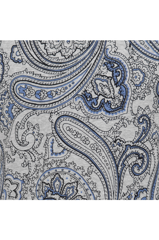 Etro T-Shirt in Grau/Blau