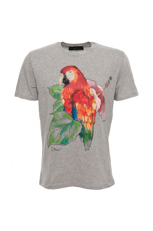 Etro T-Shirt in Grau
