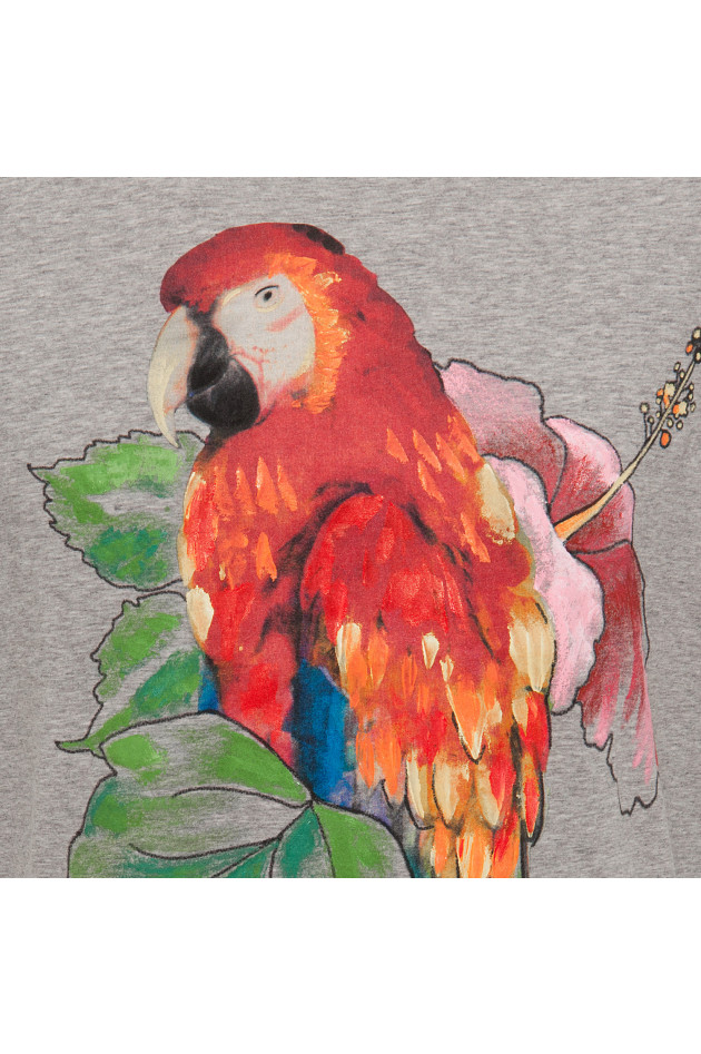 Etro T-Shirt in Grau
