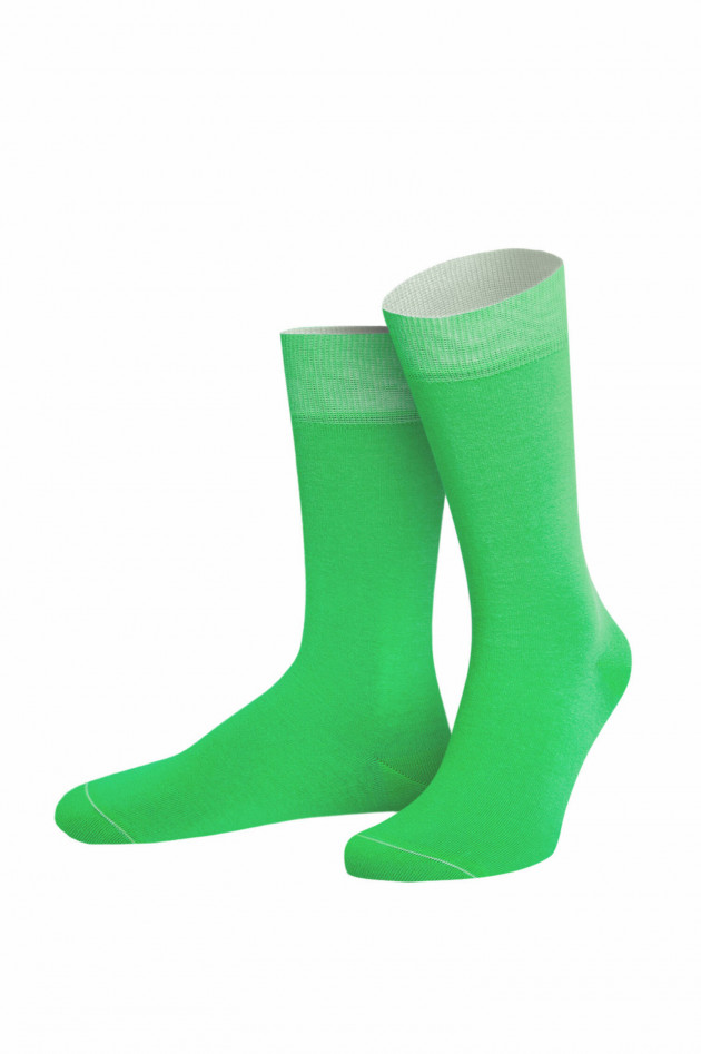 von Jungfeld Socken-Set DREI MIT KLASSE aus Bio-Baumwolle