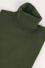 Rollkragenpullover aus Cashmere in Dunkelgrün