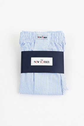 Boxershorts in Blau/Weiß 